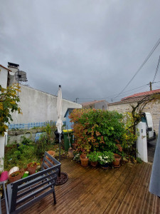 Photo de galerie - Taille de haies et d'arbustes