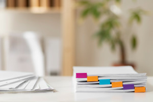 Photo de galerie - Organisation