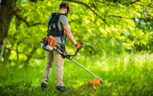 Photo de galerie - Tonte de pelouse, taille de haie/ arbuste , débroussaillage tout service concernant l’espace vert