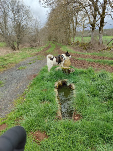 Photo de galerie - Loulou de 4 ans