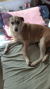 Photo de galerie - Garde à domicile 