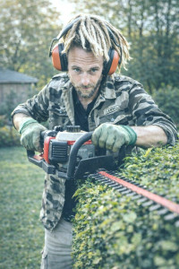 Photo de galerie - Taille de haie 