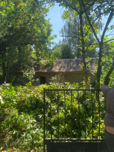 Photo de galerie - Suppression d’arbre gênant une dépendance 