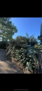 Photo de galerie - Avant 