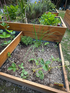 Photo de galerie - Je peux vous aider au jardin.