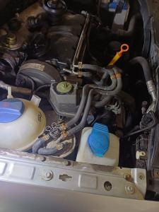 Photo de galerie - Révision 