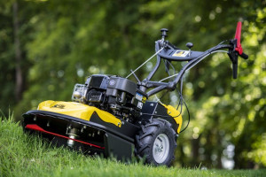 Photo de galerie - Tonte de pelouse - Débroussaillage