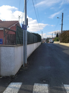 Photo de galerie - Taille de haies et d'arbustes