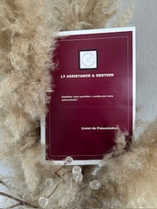 Photo de galerie - Mes livrets de présentation !