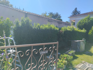 Photo de galerie - ( avant ) taille de haies