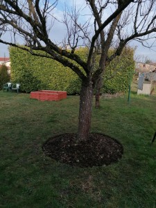 Photo de galerie - Paysagiste - Aménagement du jardin