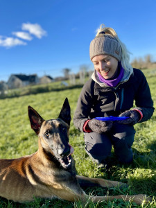 Photo de galerie - Hugo, berger belge malinois