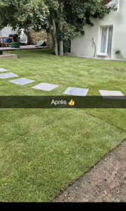 Photo de galerie - Pose de gazon