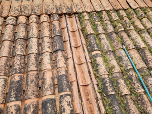 Photo de galerie - Couverture - Toiture