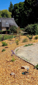 Photo de galerie - Paysagiste - Aménagement du jardin