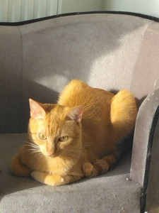 Photo de galerie - Wally 