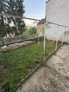 Photo de galerie - Tonte pelouse et taille de haie et d’arbuste 