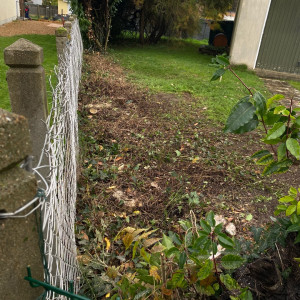 Photo de galerie - Elagage et coupe d'arbres