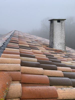 Photo de galerie - Remaniement+réparations toiture