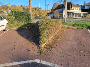 Photo de galerie - Taille de haies et d'arbustes