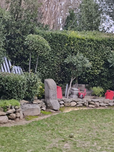 Photo de galerie - Taille de haies et d'arbustes