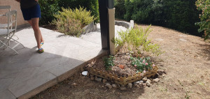 Photo de galerie - Menue aménagement pour plantation en urgence du rosier offert à maîtresse avant son départ en vacances✏️??‍♀️