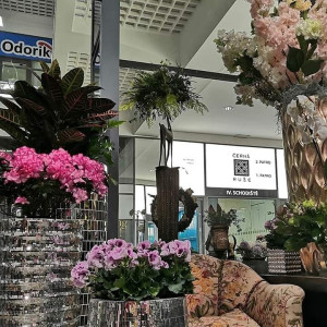 Photo de galerie - Jardinier