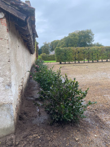Photo de galerie - Plantation