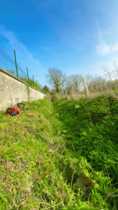 Photo de galerie - Débroussaillage 