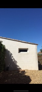 Photo de galerie - Elagage et coupe d'arbres