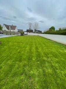 Photo de galerie - Tonte de votre jardin 
