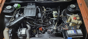 Photo de galerie - Dépose moteur et réfection complète car voiture à l' arrêt pendant 20 ans 