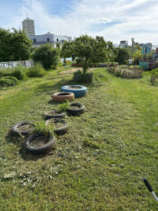 Photo de galerie - Après