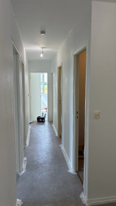 Photo de galerie - Peinture murs et plafond 