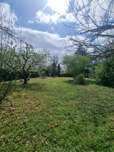 Photo de galerie - Après débroussaillage 