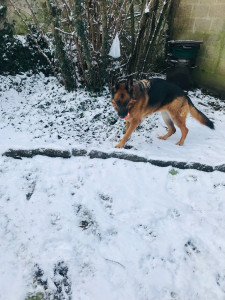 Photo de galerie - La neige c’est bien 