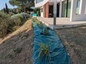 Photo de galerie - Paysagiste - Aménagement du jardin