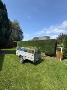 Photo de galerie - Taille De Haie