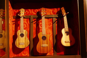 Photo de galerie - Ukulélé