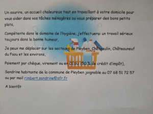 Photo de galerie - Je peux vous aider pour l entretien de votre maison