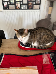 Photo de galerie - .