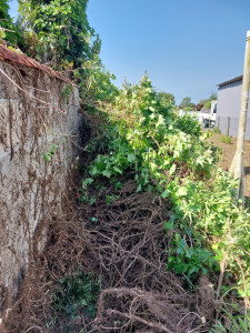 Photo de galerie - Jardinier