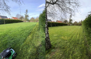 Photo de galerie - Tonte d’un terrain de 1500m ²