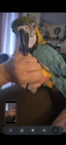 Photo de galerie - Garde animaux