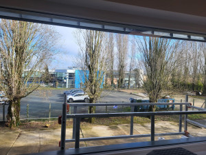 Photo de galerie - Nettoyage de vitres