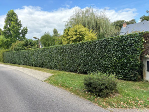 Photo de galerie - Travaille fini ✅ 