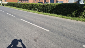 Photo de galerie - Taille solre le chateau