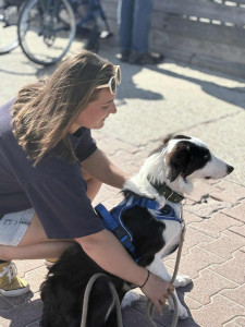 Photo de galerie - *