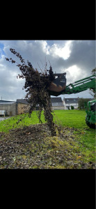 Photo de galerie - Évacuation de déchets verts