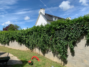 Photo de galerie - Avant